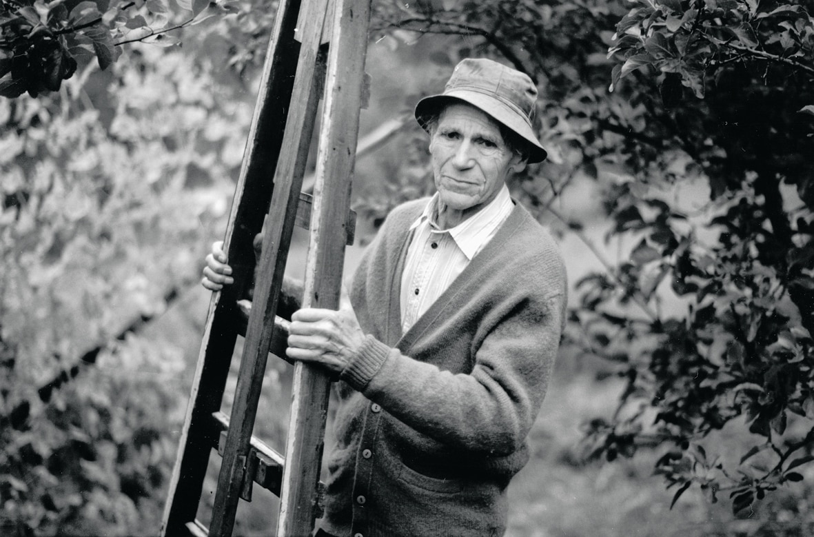 Olav H. Hauge