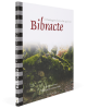 bibracte_DSC8972V